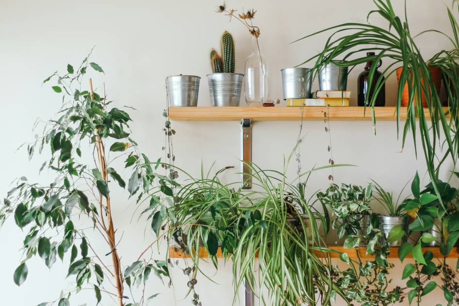 Homepage for Home Improvement Gardening & Outdoor Decor planters