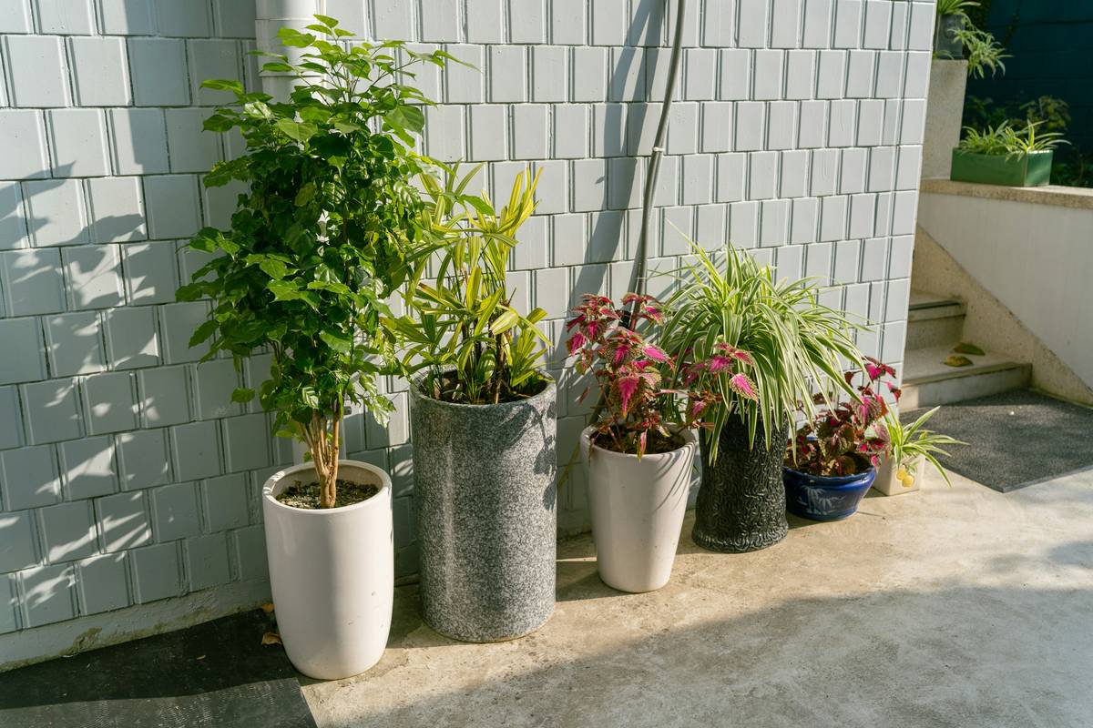DIY vertical gardening planter garden how to setup on wooden fence with herbs and succulents