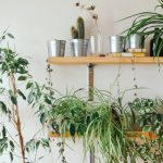 Vertical Gardening Planter Garden How To: Grow Up, Not Out